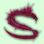 Image result for WoW Exotic Hunter Pets