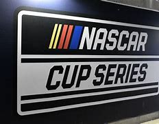 Image result for NASCAR FIFA Cup Series Logo