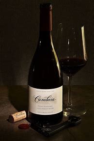 Image result for Cambria Pinot Noir Clone 2a