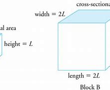 Image result for Length and Width Example