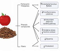 Image result for Bioactive Substances in Apple Pomace
