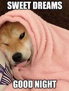 Image result for Dog Asleep Meme