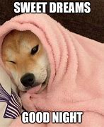 Image result for Sleeping Dawg Meme