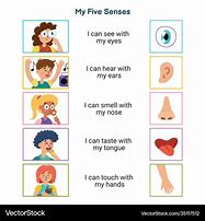 Image result for Five Senses Objects