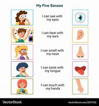 Image result for Lesson Plan On the Five Senses for Three Years Old