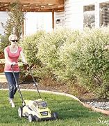 Image result for Mowing the Moss Lawn