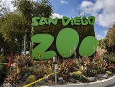 Image result for San Diego Zoo Zookeeper