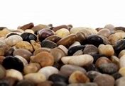 Image result for White Pebbles West Sussex