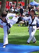 Image result for Deadliest Martial Arts Moves