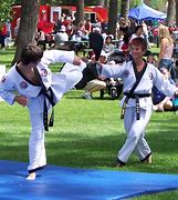 Image result for Karate or Taekwondo