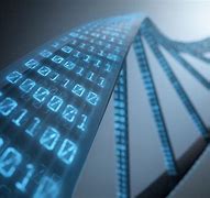 Image result for Data Storage in DNA