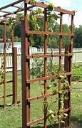 Image result for Grape Vine Trellis and Pruning