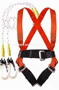 Image result for Body Harness 2 Hook