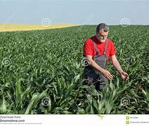 Image result for agricolio