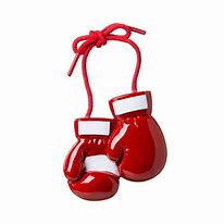 Image result for Boxing Christmas Ornaments