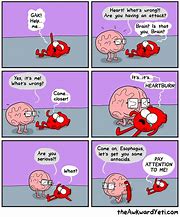 Image result for Neurons Awkward Yeti