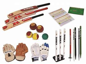 Image result for Cricket Goods