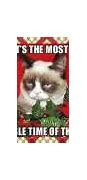 Image result for Grumpy Cat Grave