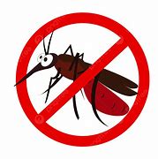 Image result for Dengue PNG