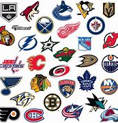 Image result for NHL Hockey Teams 2019
