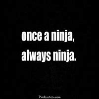 Image result for Funny Ninja Quotes