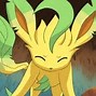 Image result for Eevee Face