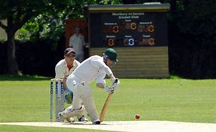 Image result for Cricket Century