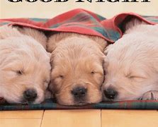 Image result for Cute Good Night Images for November