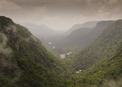 Image result for Brazil Ecosystems