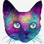 Image result for deviantART Galaxy Cat