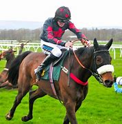 Image result for Free Horse Racing Picks