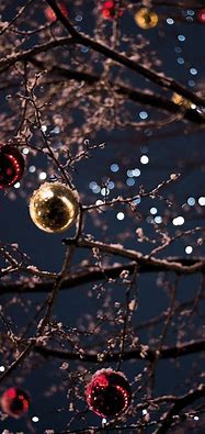 Image result for Winter Lights iPhone Wallpaper