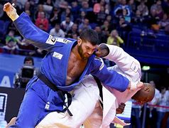 Image result for Judo Martial Arts