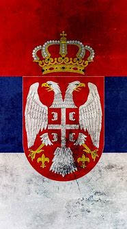 Image result for Serb Flag