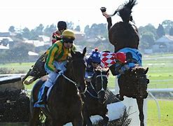 Image result for Steeplechase Horse Falls in Race