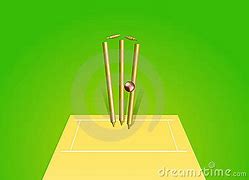 Image result for Cricket Pitch Cartoon