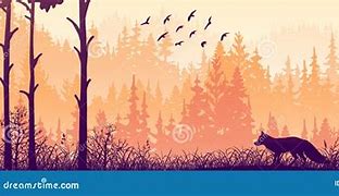 Image result for Horizontal Banner Image of Fox in Forest