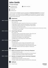 Image result for Best Looking Resume Template