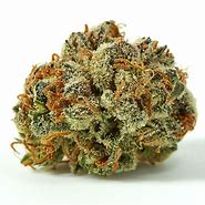 Image result for Larry OG Strain Seed