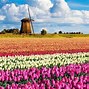Image result for Windmills at Kinderdijk Netherlands