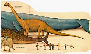 Image result for Biggest Creature That Ever Lived