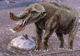 Image result for A Feature for an Animal 5000 Year