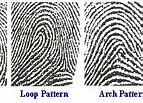 Image result for Harga Fingerprint Bekas