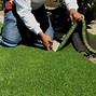 Image result for Install Artificial Turf
