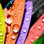 Image result for Colorful iPhone 4S Wallpaper