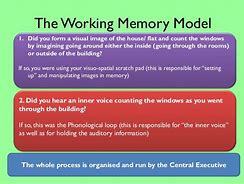 Image result for Short-Term vs Working Memory