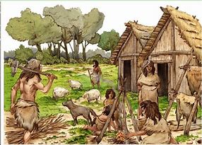 Image result for Neolit Human
