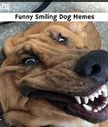 Image result for Keep Smiling Meme