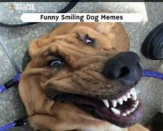 Image result for Smile Pretty Meme