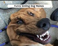 Image result for Happy Face Smile Meme